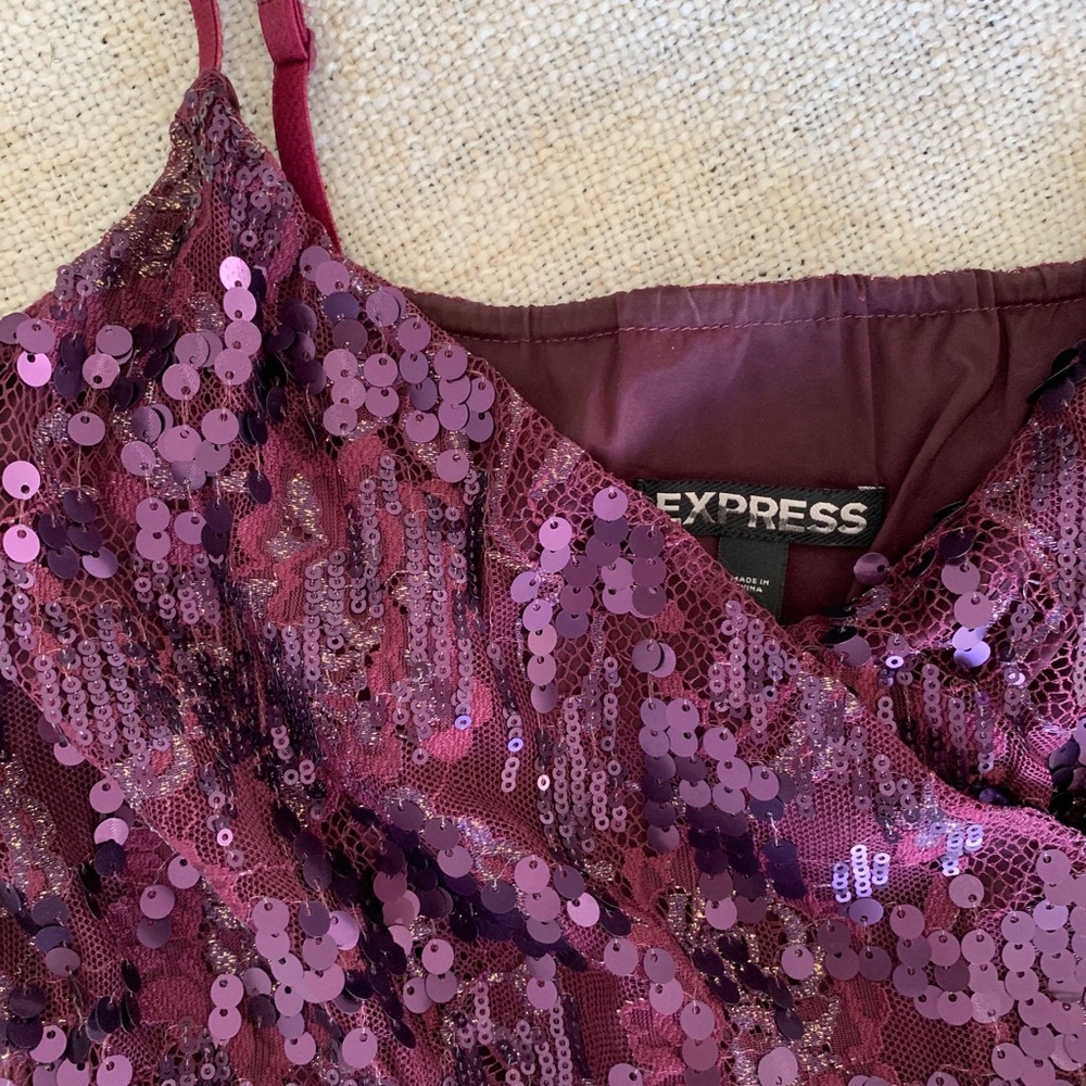 Express Purple Sequined Party Dress